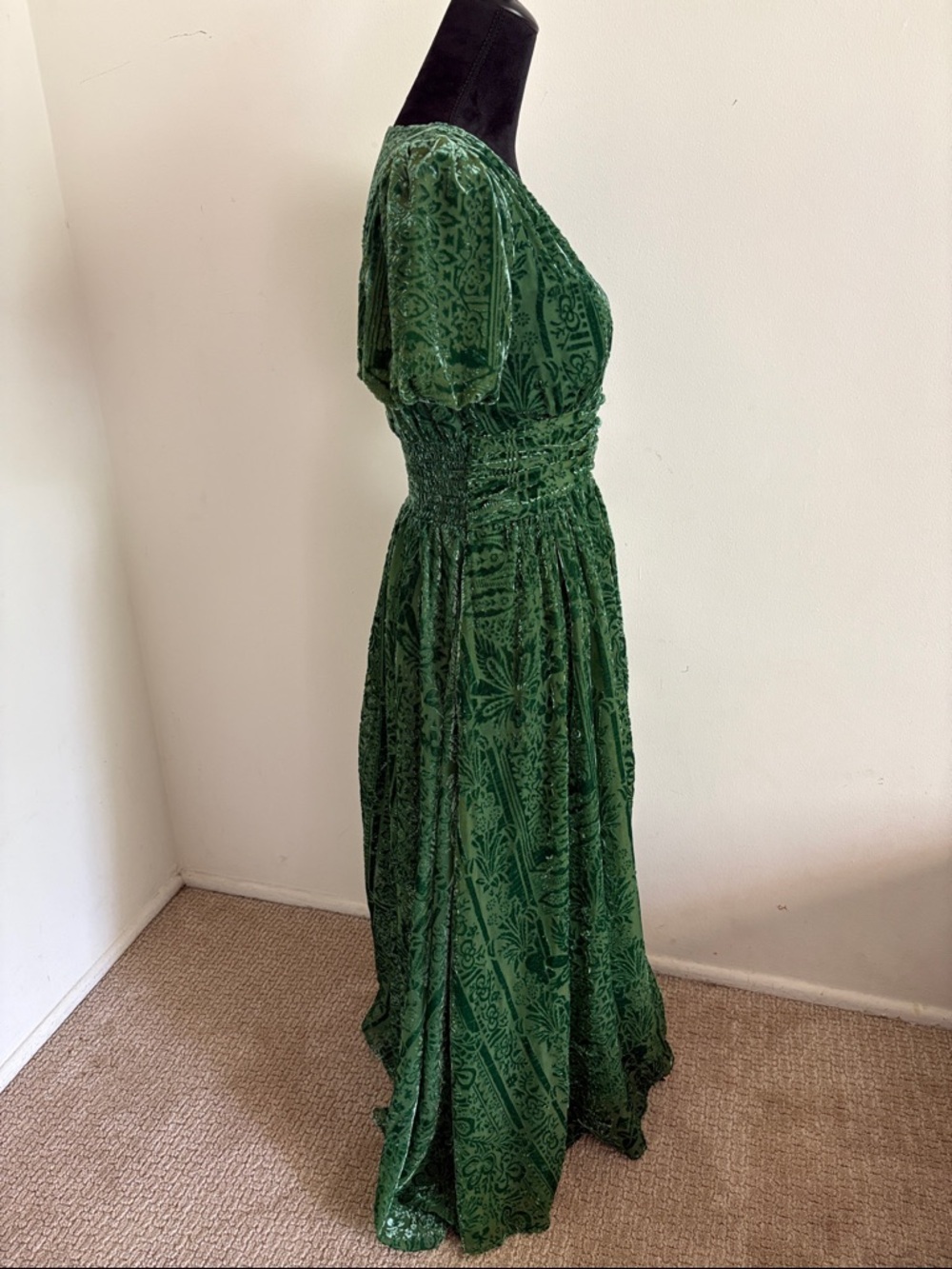 ANTHROPOLOGIE Katerina Velvet Button Front Maxi Dress Size 0 Whimsy Whimsigoth - Picture 12 of 13